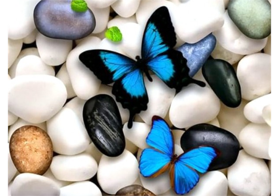 Diamond Painting Set Q159 Pebbles Butterflies 30 x 20 cm