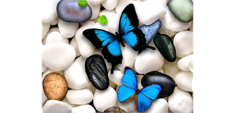 Diamond Painting Set Q159 Pebbles Butterflies 30 x 20 cm