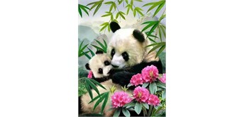 Diamond Painting Set Q428 Pandas 15 x 25 cm
