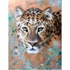 Diamond Painting Set S433 Leopard 50 x 40 cm
