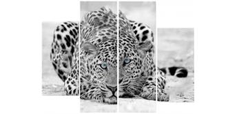 Diamond Painting Set TF045 4 Bilder - Tiger