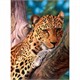 Diamond Painting Set XL4002 Leopard 40 x 30 cm