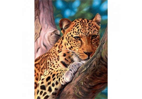 Diamond Painting Set XL4002 Leopard 40 x 30 cm