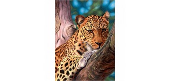 Diamond Painting Set XL4002 Leopard 40 x 30 cm