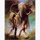 Diamond Painting Set Y0503 Elephant 50 x 40 cm