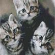 Diamond Painting The Three Kittens 30 x 40 cm, runde Steine | Bild 2