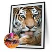 Diamond Painting Tiger 24 x 34 cm | Bild 2