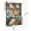 Diamond Painting Tiger 24 x 34 cm | Bild 6