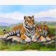 Diamond Painting Tiger 30 x 40 cm, ECKIGE STEINE