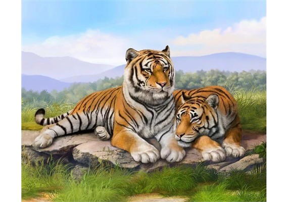 Diamond Painting Tiger 30 x 40 cm, ECKIGE STEINE