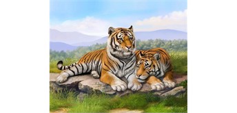 Diamond Painting Tiger 30 x 40 cm, ECKIGE STEINE