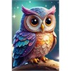 Diamond Painting - Wächter der Nacht - ECKIGE STEINE 20 x 30 cm
