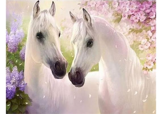 Diamond Painting White Horse in Love 40 x 50 cm, ECKIGE STEINE