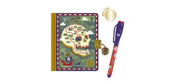 Djeco DD03653 Geheimes Tagebuch Steve klein