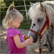 Erzi 42645 Sortierung Pferdepflege | Bild 6