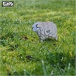 Eugy 018 3D Bastelset Schaf | Bild 6