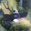 Eugy 022 3D Bastelset Weisskopfseeadler | Bild 6