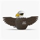 Eugy 022 3D Bastelset Weisskopfseeadler