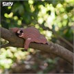 Eugy 032 3D Bastelset Faultier | Bild 6