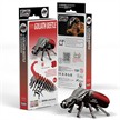Eugy 111 3D Bastelset Goliathkäfer | Bild 5