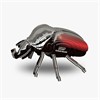 Eugy 111 3D Bastelset Goliathkäfer