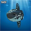 Eugy 132 3D Bastelset Mondfisch | Bild 6