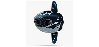 Eugy 132 3D Bastelset Mondfisch