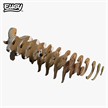 Eugy 145 3D Bastelset Dickhornschaf | Bild 4