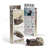 Eugy - 3D 060 Bastelset Seeotter