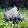 Eugy - 3D 076 Bastelset Nashorn | Bild 6