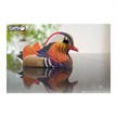 Eugy - 3D 096 Bastelset Mandarinente | Bild 6