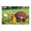 Eugy - 3D 104 Bastelset Landschildkröte | Bild 4