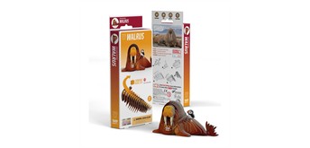Eugy - 3D 107 Bastelset Walross