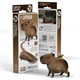 Eugy - 3D 120 Bastelset Wasserschwein - Capybara