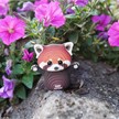 Eugy - 3D 126 Bastelset Roter Panda | Bild 5