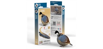 Eugy - 3D 129 Bastelset Wachtel