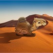 Eugy - 3D 136 Bastelset Dromedar | Bild 6