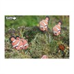 Eugy - 3D Bastelset Clownfisch | Bild 4