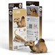 Eugy - 3D Bastelset Dromedar