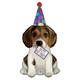 Folienballon Birthday Puppy 104 cm, ohne Füllung