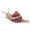 Folkmanis Fingerpuppe 8003 Mini Schnecke | Bild 3