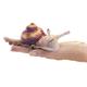 Folkmanis Fingerpuppe 8003 Mini Schnecke