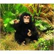 Folkmanis Handpuppe 2877 - Baby Schimpanse | Bild 2