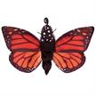 Folkmanis Handpuppe 3073 - Metamorphose Schmetterling | Bild 2