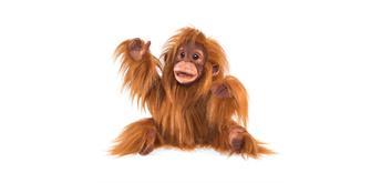 Folkmanis Handpuppe 3106 - Baby Orang-Utan