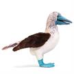 Folkmanis Handpuppe 3223 Blaufusstölpel | Bild 2