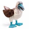 Folkmanis Handpuppe 3223 Blaufusstölpel