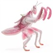 Folkmanis Handpuppe 3236 Gottesanbeterin | Bild 2