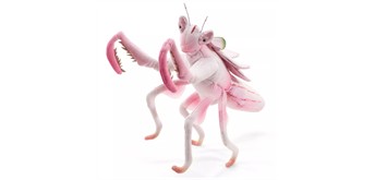 Folkmanis Handpuppe 3236 Gottesanbeterin