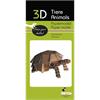 Fridolin 3-D Papiermodell "Schildkröte"